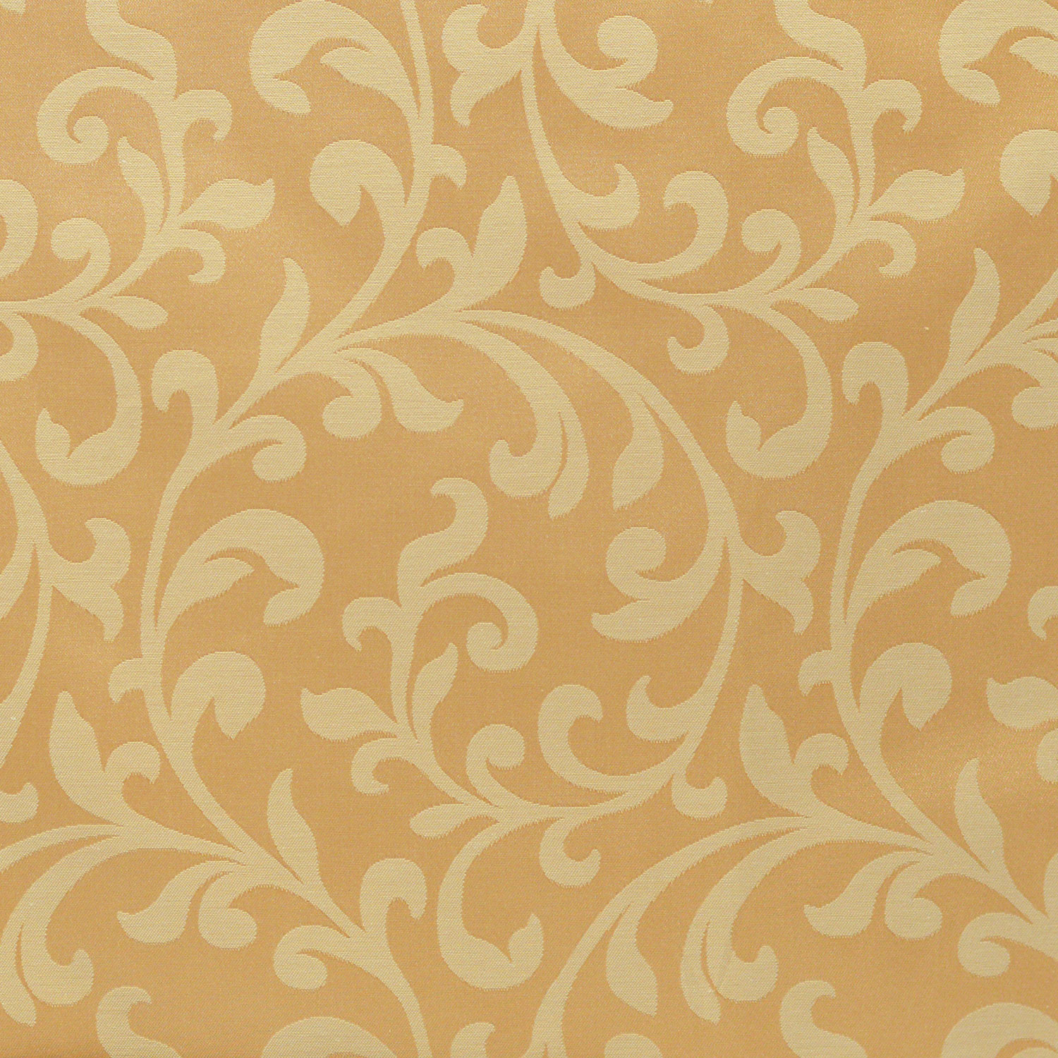 02_Roma_gold_1500x1500.jpg